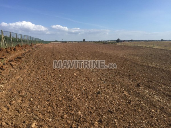 Terrain agricole de 02Ha équipe en Goutte a Goutte