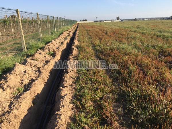 Terrain agricole de 02Ha équipe en Goutte a Goutte