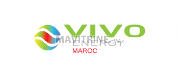 Vivo Energy Maroc recrute des Stagiaires