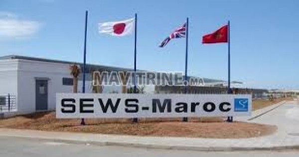 SEWS Maroc recrute plusieurs profils