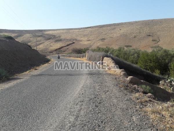 17 hectares titres au lac de takerkouste