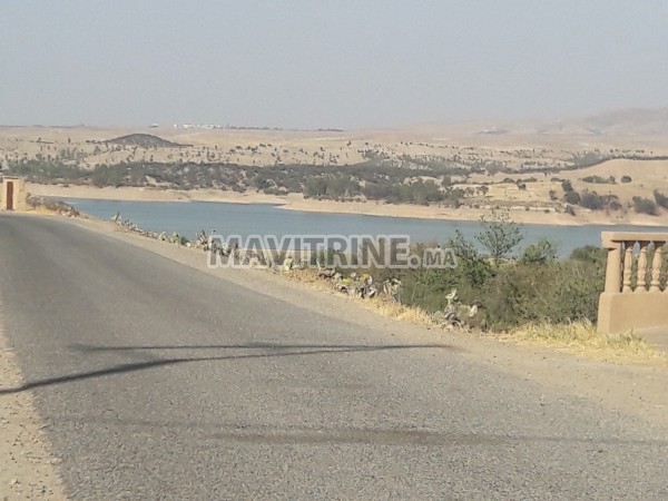 17 hectares titres au lac de takerkouste