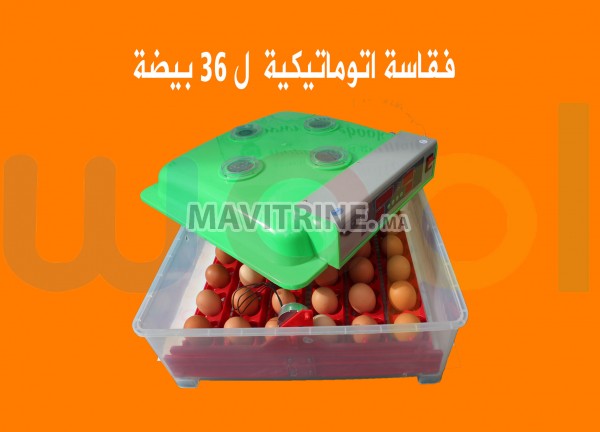 (فقاسة أوتوماتيكية  (36 بيضة)