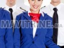 Photo de l'Annonce: Hôtesse de l'air (steward)