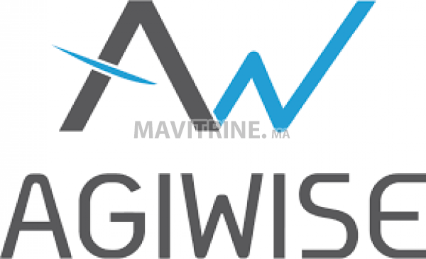 AGIWISE recrute plusieurs profils