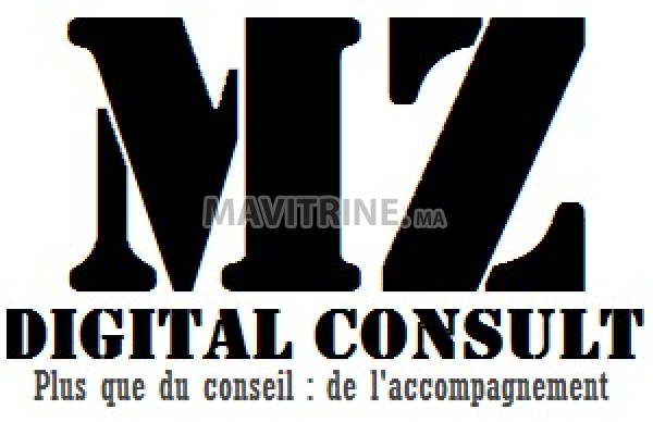 Consultant Digital