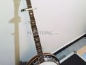 Photo de l'Annonce: banjo a vendre