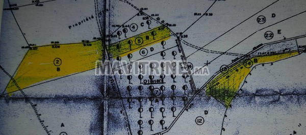 propriété agricole titrée 12,5 hectares