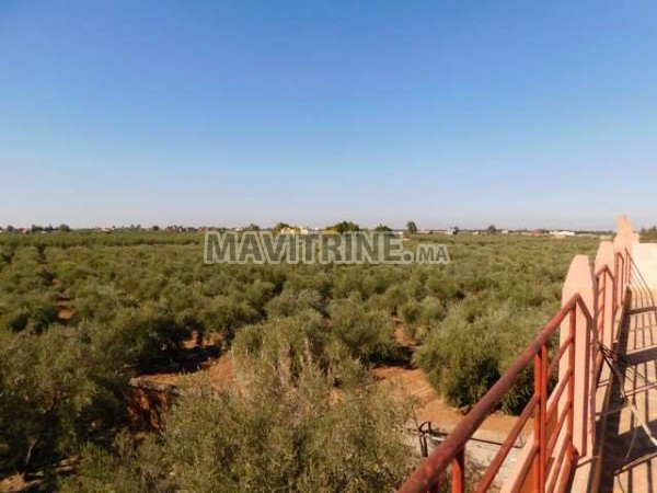 Maison de campagne à vendre à Sidi Abdellah Ghyat