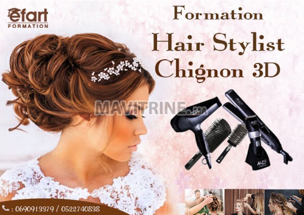 Formation Hair Stylist Chignon 3D