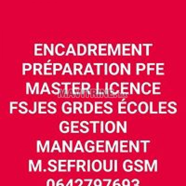 préparation PFE masters licences cours de soutien révision