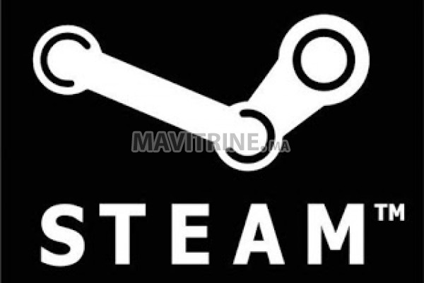 STEAM ACCOUNTS