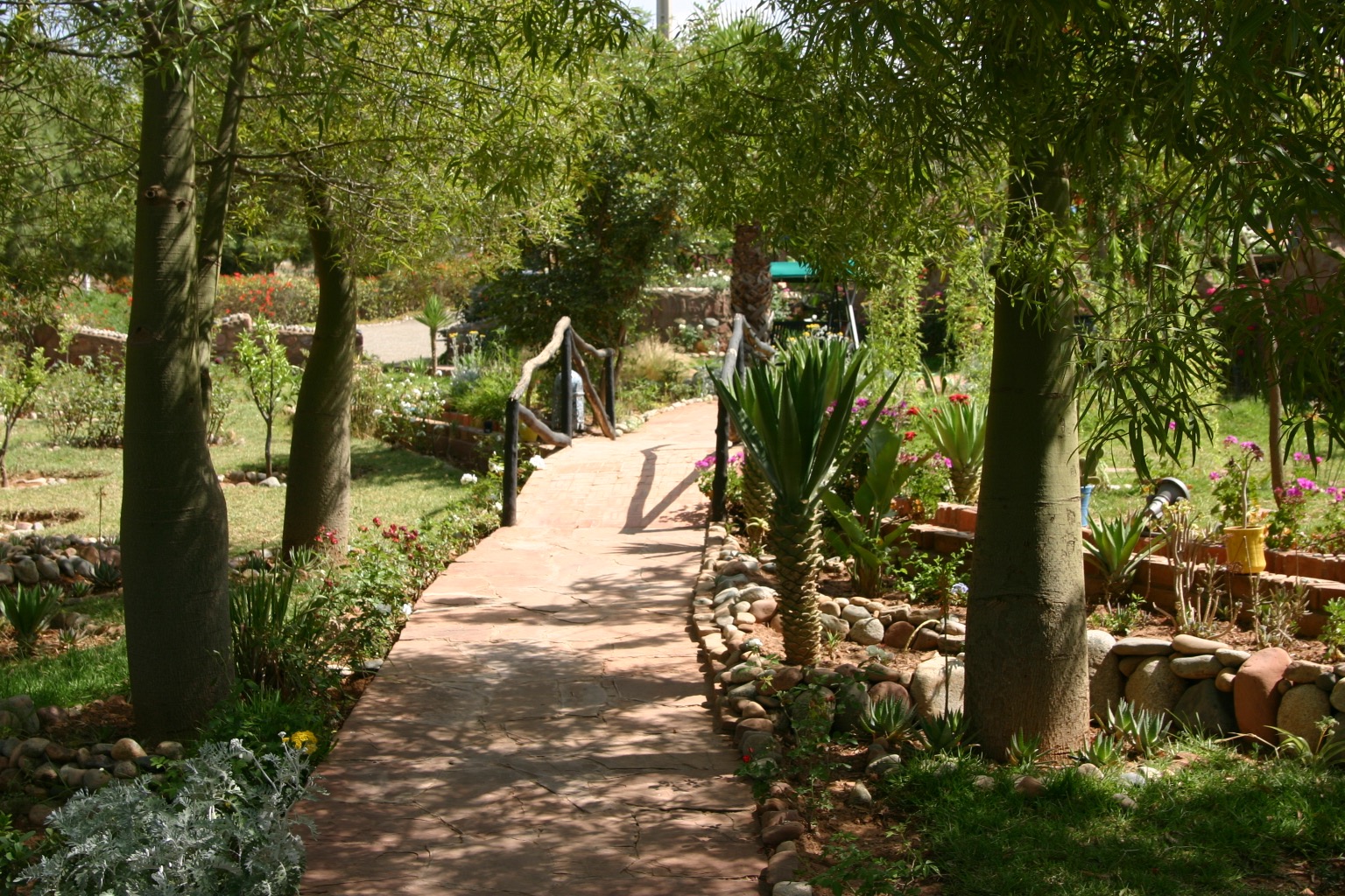 Location gérance maison d'hôtes à Marrakech route de l'Ourika