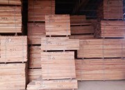 Photo de l'annonce: Recherche Investisseurs pour Importations  de L'IROKO en avivé