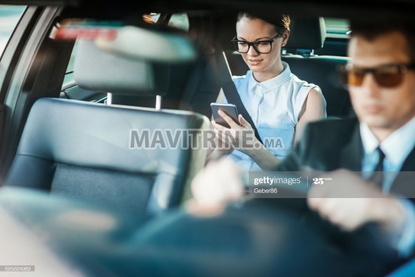 Chauffeur /Livreur /Coursier