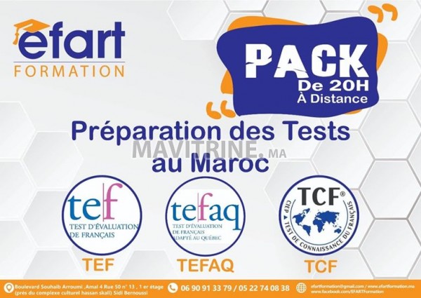 Préparation TEF TCF en ligne ( avec formateur)