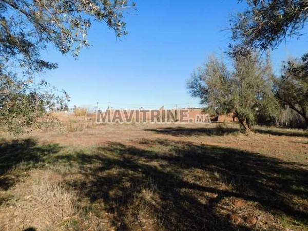 Terrain de 9900 m² à vendre km 15 route de fez Marrakech