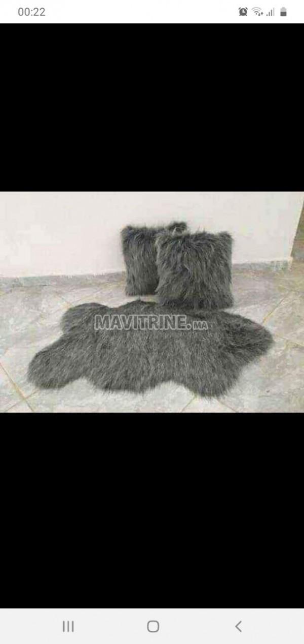 Tapis mongolien + 2 coussins