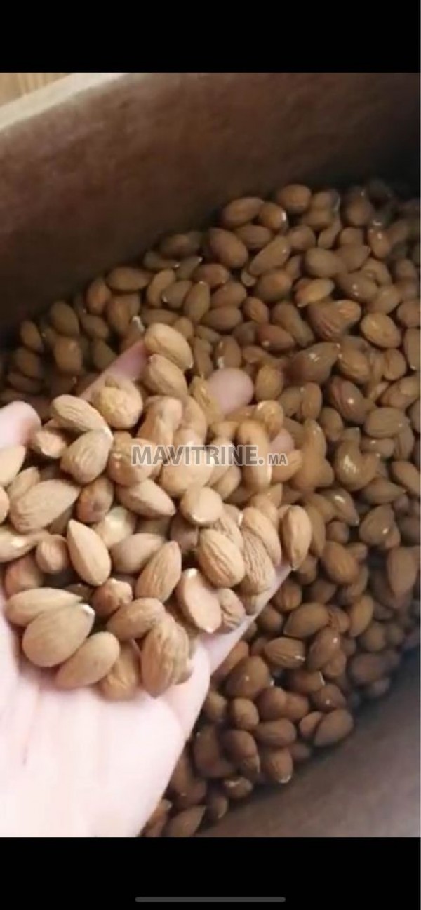 Distributeur et vendeur des amandes American importe US exclusive au Maroc