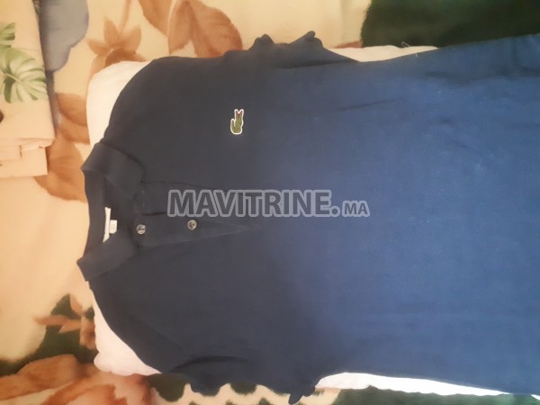 Polo lacoste taille S