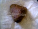 Photo de l'Annonce: meteorite martienne 20 g