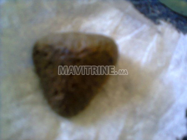 meteorite martienne 20 g