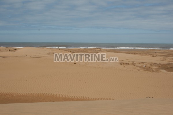 TERRAIN TITREE A VENDRE A MOULAY BOUZERKTOUN