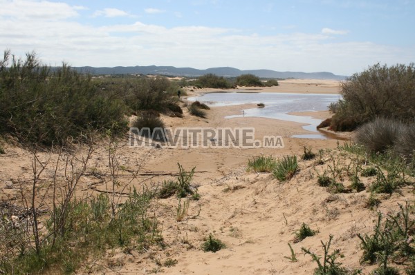 TERRAIN TITREE A VENDRE A MOULAY BOUZERKTOUN