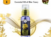 Photo de l'annonce: Blue Tansy Essentiel Oil for Private Label