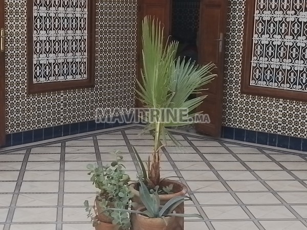 Vente riad à Marrakech