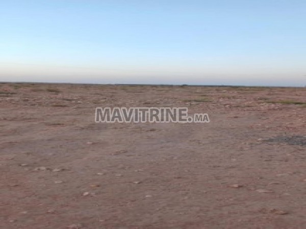 Vente 3 hectares a marrakech tres bien situé