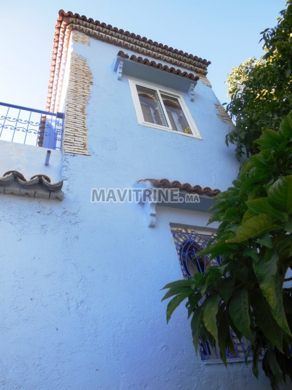 Riad moderne rénové type provençal Titré Meublé