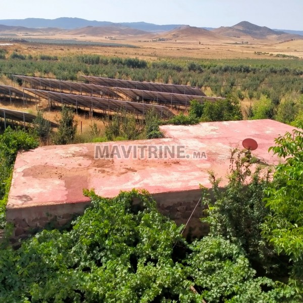 VENTE FERME DE 70 HECTARES A AZROU