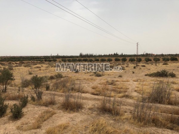 Ferme à vendre à 25 km de Marrakech