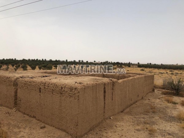 Ferme à vendre à 25 km de Marrakech